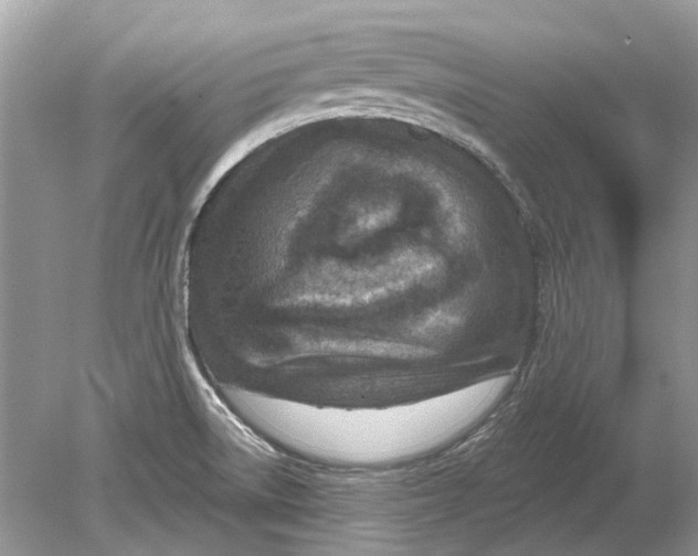 X0000078891522200612042037