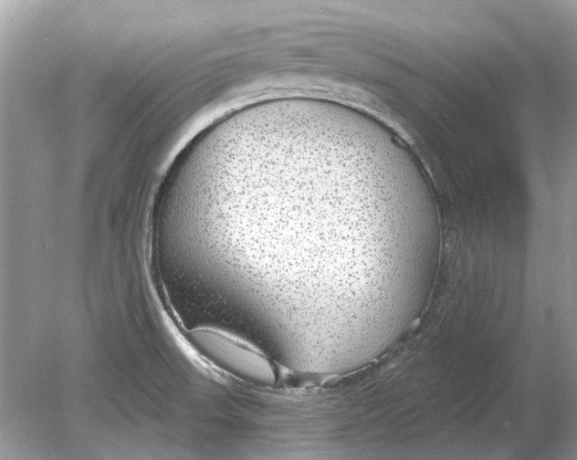 X0000078891523200612042037