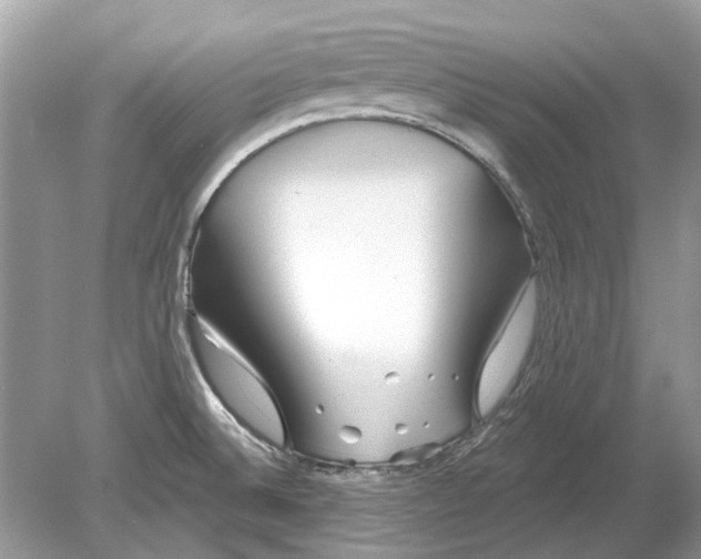 X0000078891524200612042037