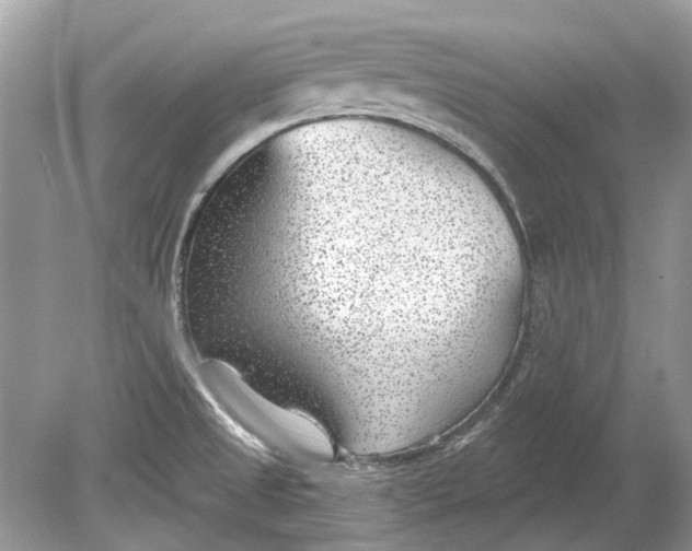 X0000078891525200612042037