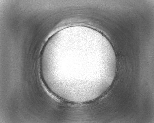 X0000078891526200612042037