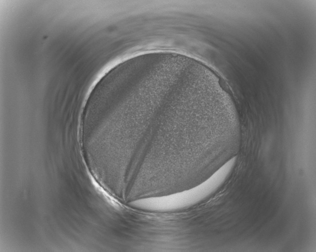 X0000078891527200612042037