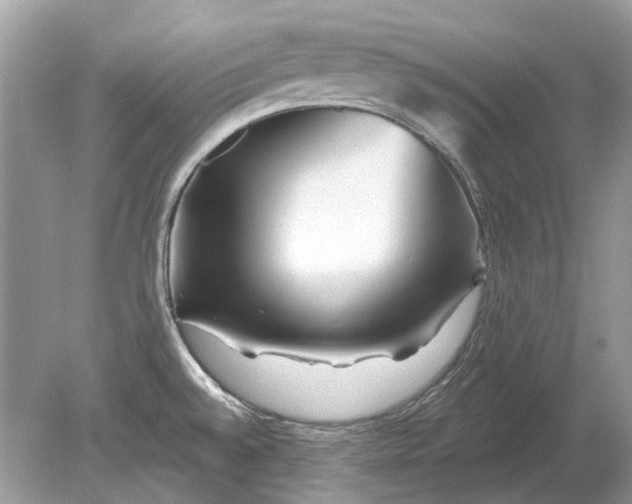 X0000078891528200612042037