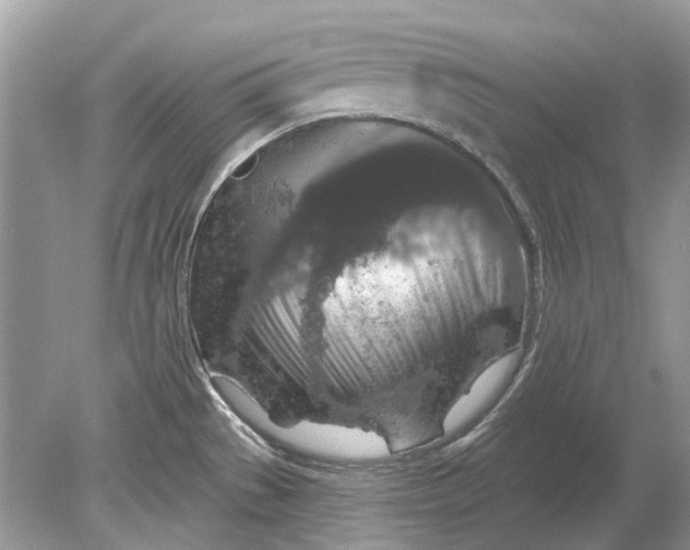 X0000078891529200612042037