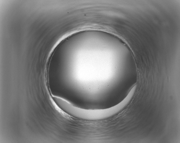 X0000078891531200612042037