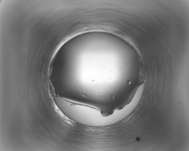 X0000078891532200612042037