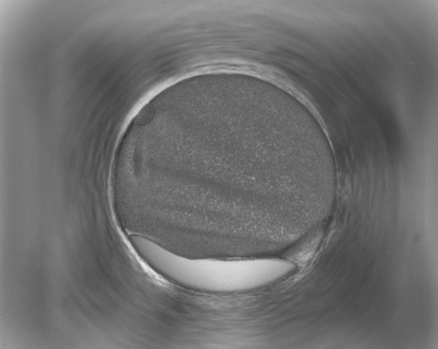 X0000078891533200612042037