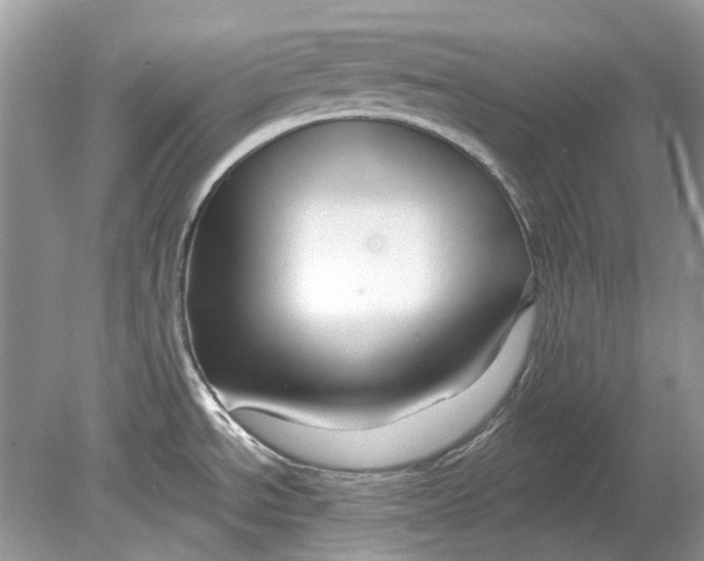 X0000078891534200612042037