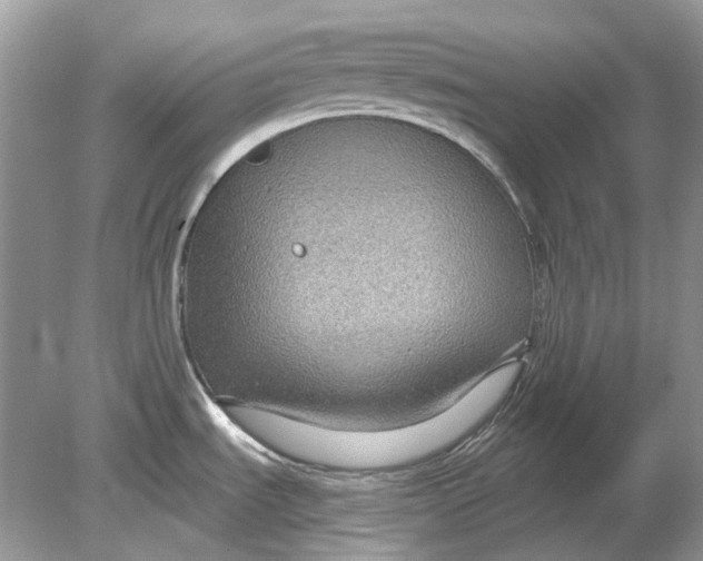 X0000078891535200612042037