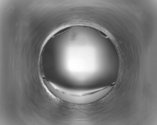 X0000078891536200612042037