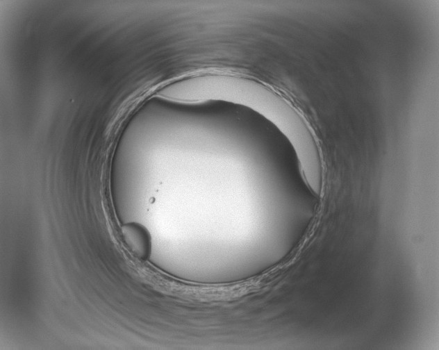 X0000078890001200612111817