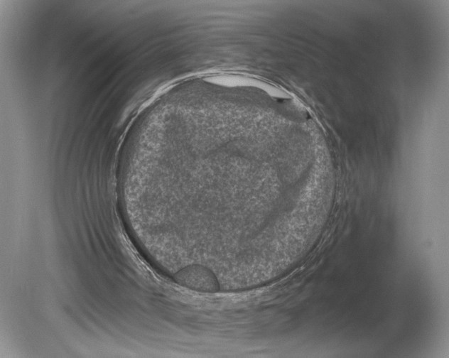 X0000078890002200612111817