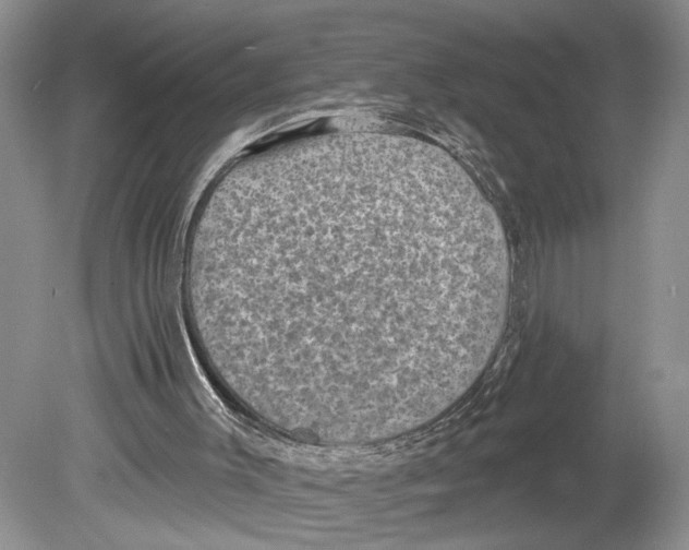 X0000078890003200612111817