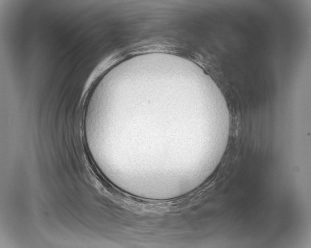 X0000078890004200612111817