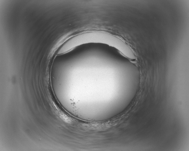 X0000078890005200612111817