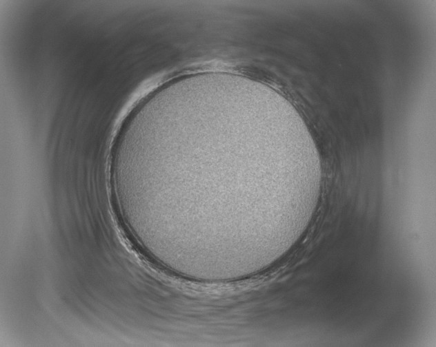 X0000078890006200612111817