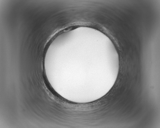 X0000078890011200612111817