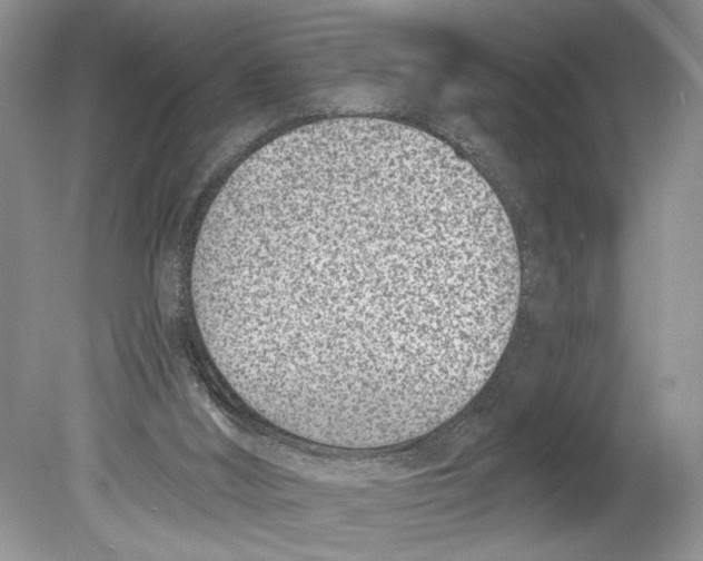 X0000078890012200612111817