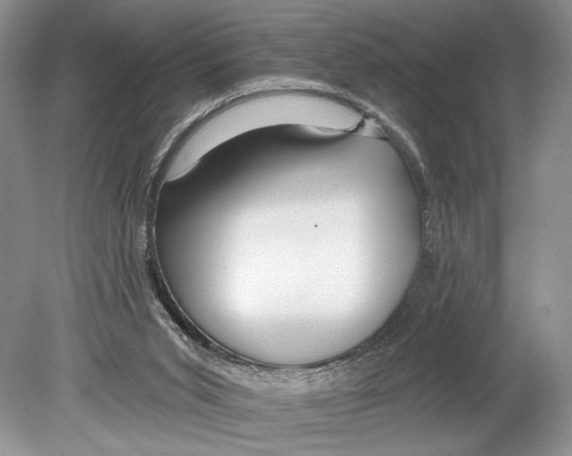 X0000078890015200612111817