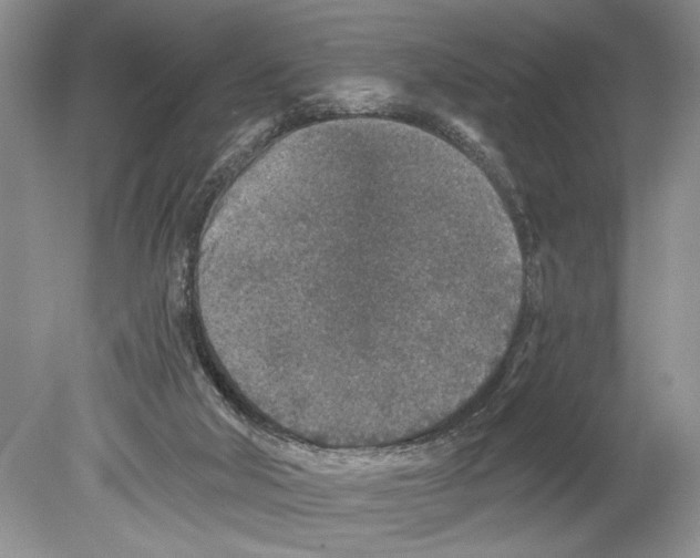 X0000078890018200612111817