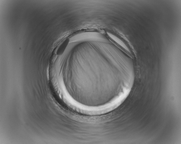 X0000078890019200612111817