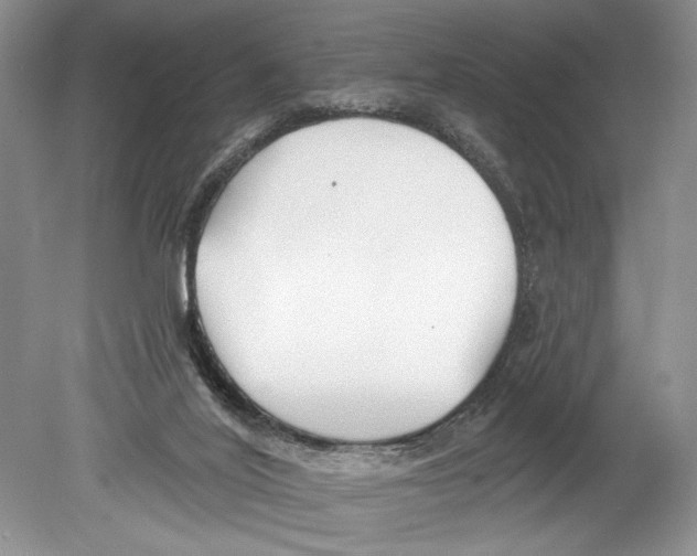 X0000078890020200612111817