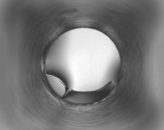 X0000078890021200612111817