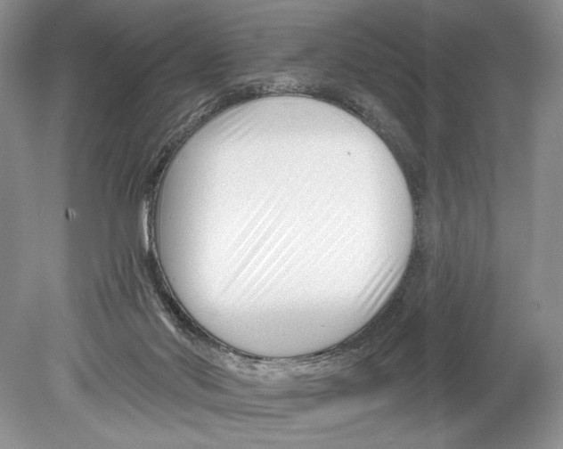 X0000078890022200612111817