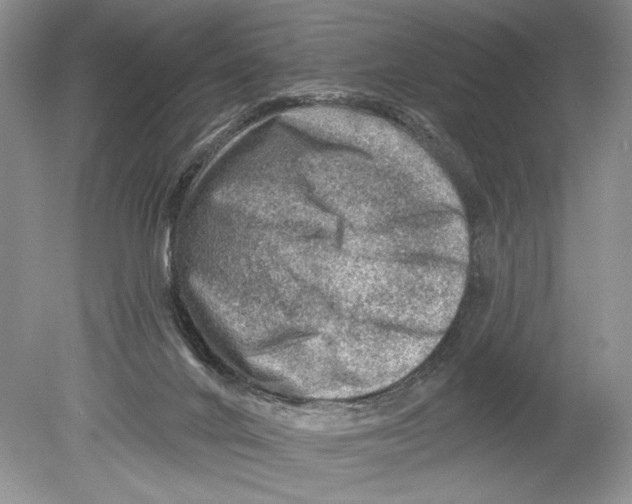 X0000078890024200612111817