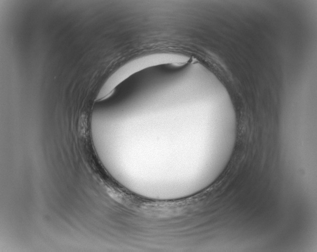 X0000078890025200612111817