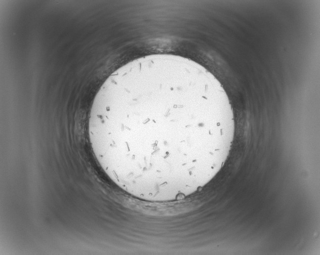 X0000078890030200612111817