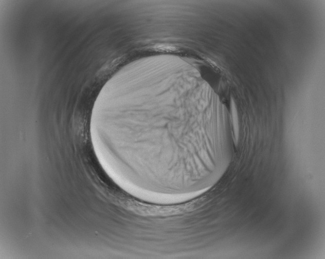 X0000078890031200612111817