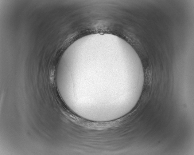 X0000078890033200612111817