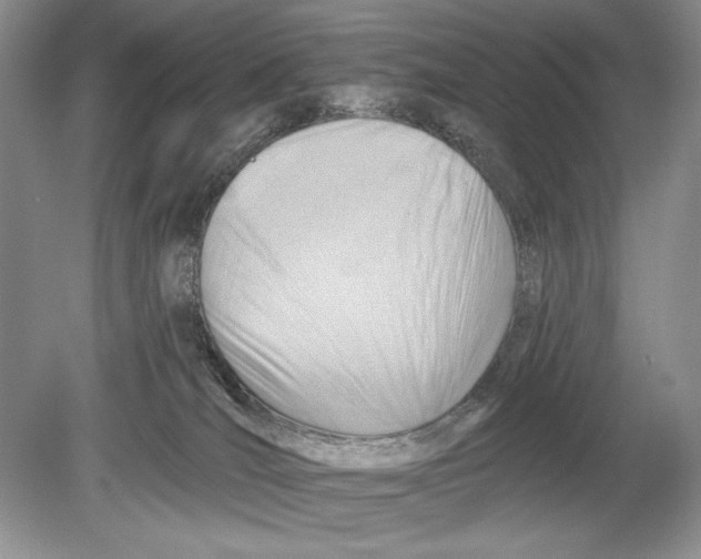 X0000078890036200612111817