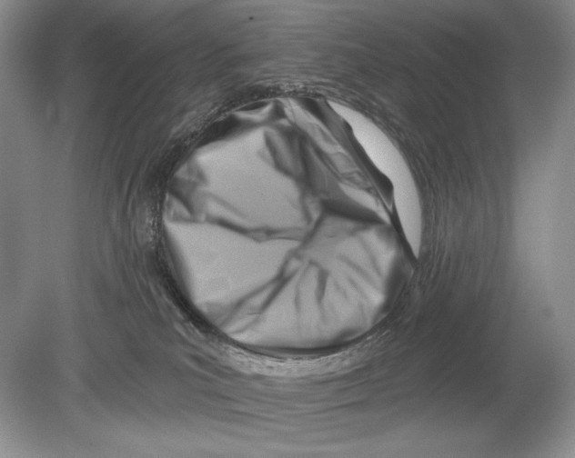 X0000078890039200612111817