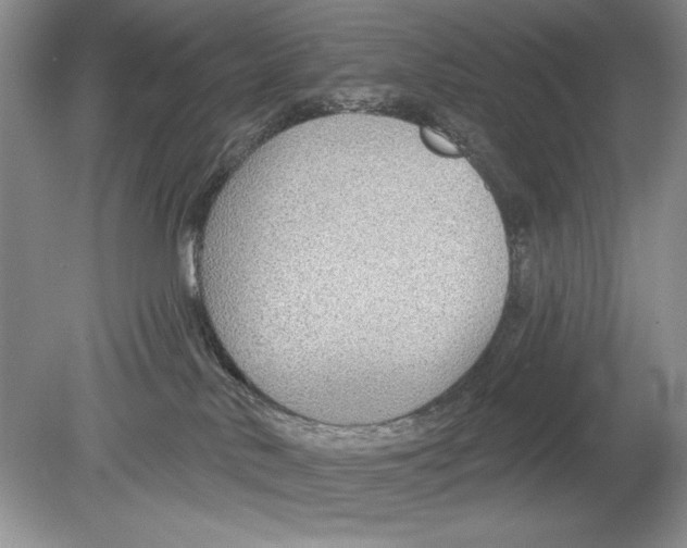 X0000078890042200612111816