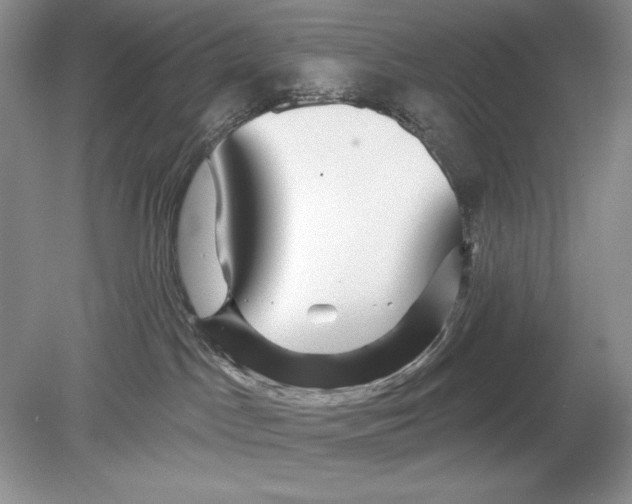 X0000078890045200612111816