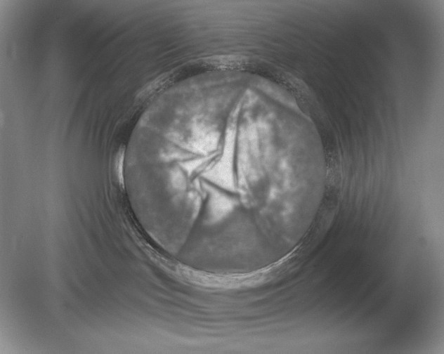 X0000078890047200612111816