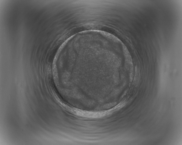 X0000078890048200612111816