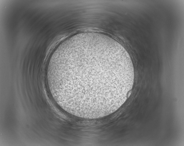 X0000078890049200612111816