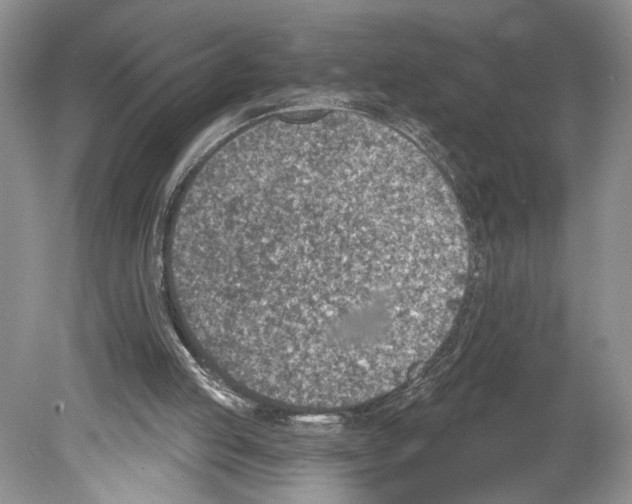 X0000078890053200612111816