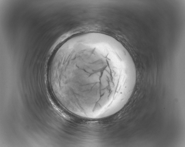 X0000078890054200612111816