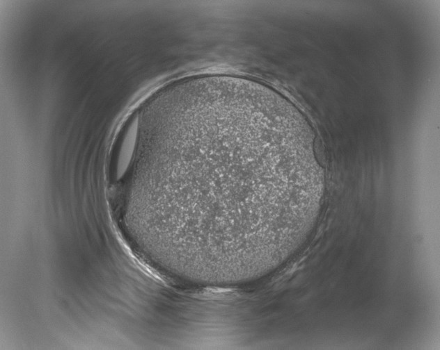 X0000078890055200612111816