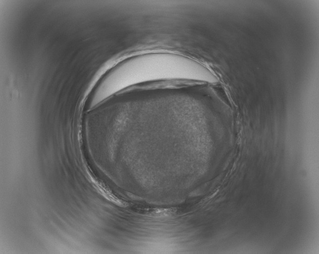 X0000078890056200612111816