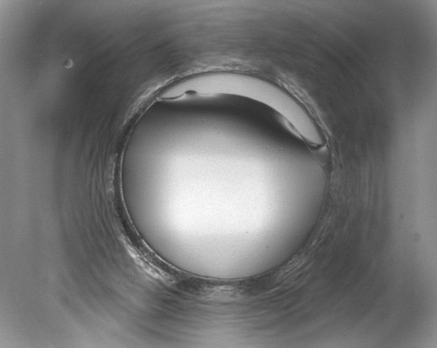 X0000078890058200612111816