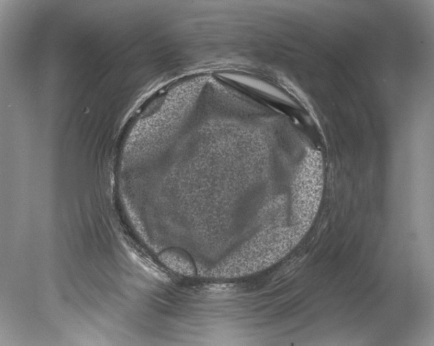 X0000078890059200612111816