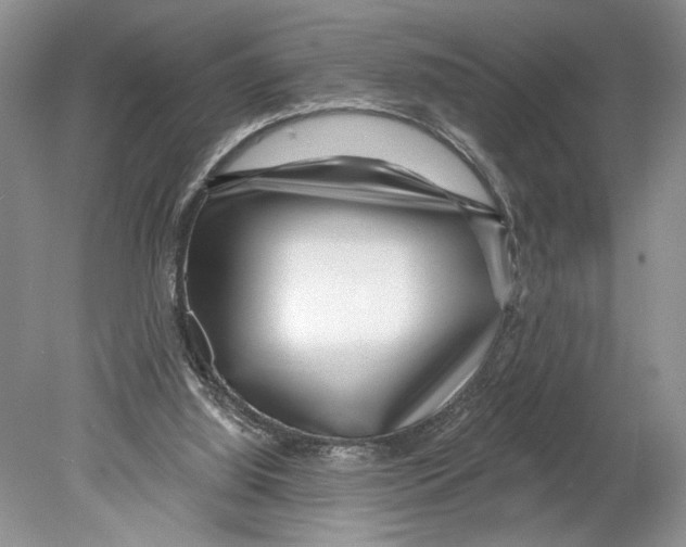 X0000078890060200612111816