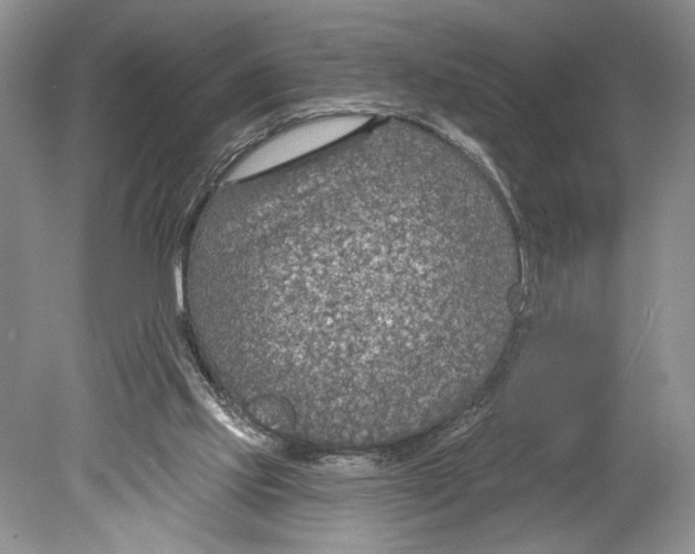 X0000078890061200612111816