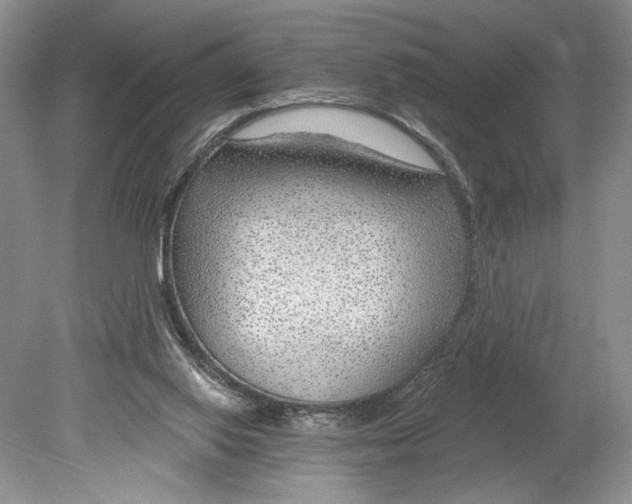 X0000078890062200612111816