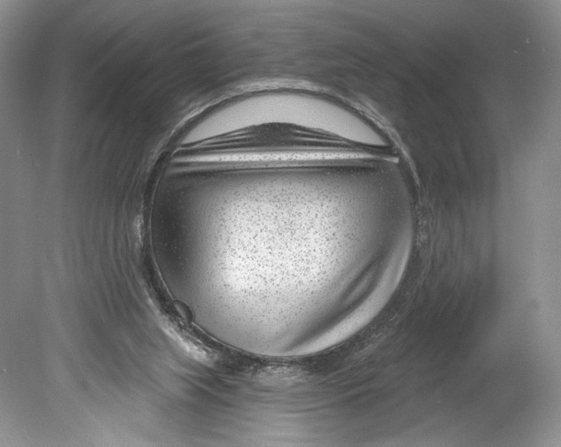 X0000078890063200612111816